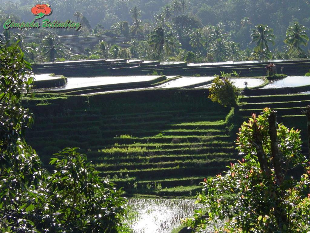 Cempaka Belimbing Villa Blimbing  Esterno foto