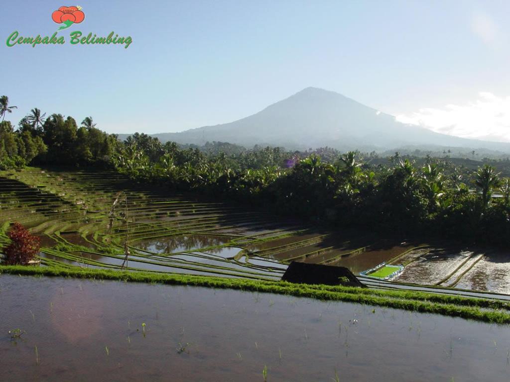 Cempaka Belimbing Villa Blimbing  Esterno foto