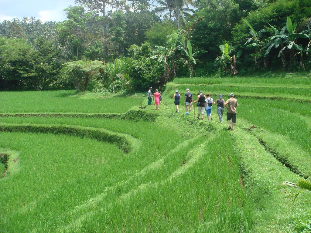 Cempaka Belimbing Villa Blimbing  Esterno foto