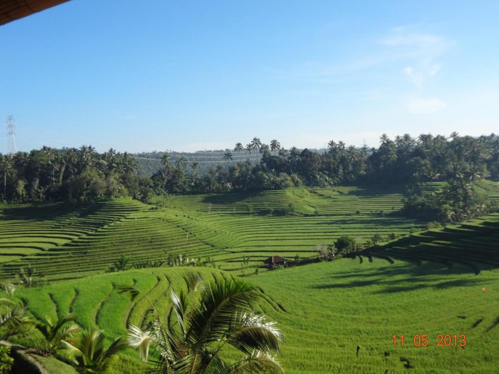 Cempaka Belimbing Villa Blimbing  Esterno foto