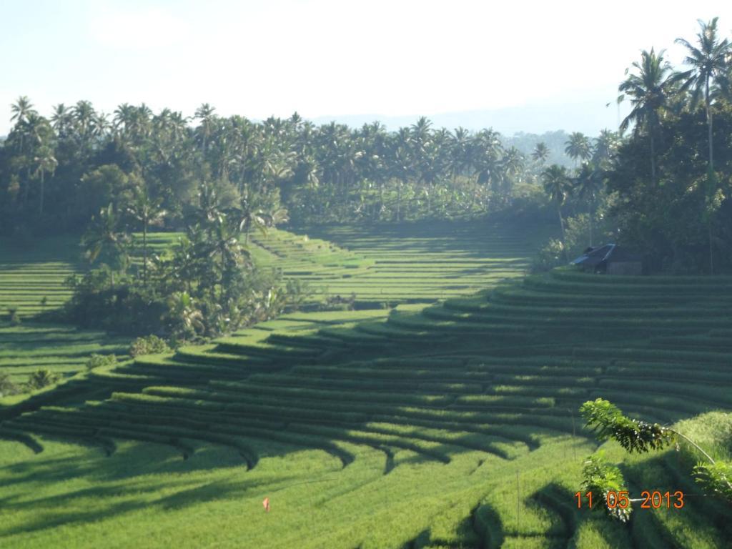 Cempaka Belimbing Villa Blimbing  Esterno foto