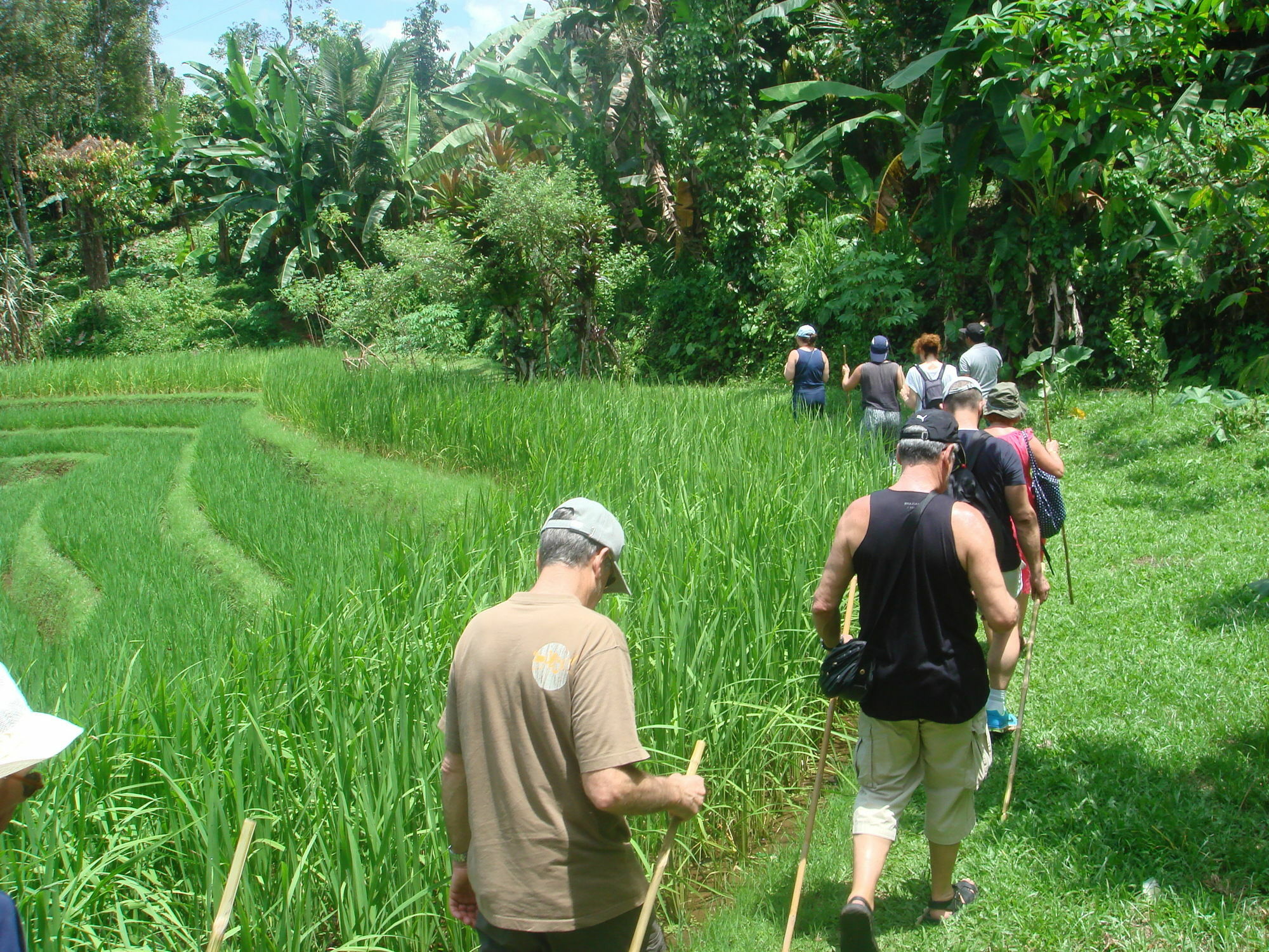 Cempaka Belimbing Villa Blimbing  Esterno foto
